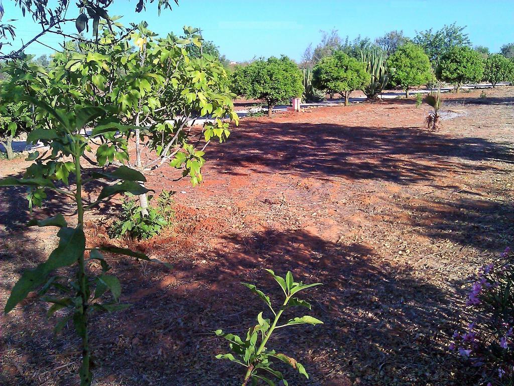 Quinta Casalinho Vakantiehuis *